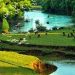 Trang thơ tình Ba Lan đương đại