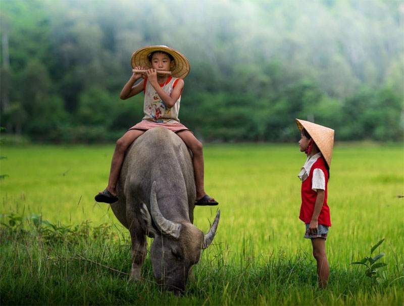 Tuổi thơ ở làng quê Việt Nam. Ảnh: Báo Nghệ An.