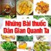 Hương hoa sữa mùa thu