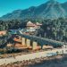 Sức mạnh của âm nhạc trong cuộc chiến chống đại dịch