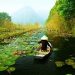 Hương Bưởi nồng nàn