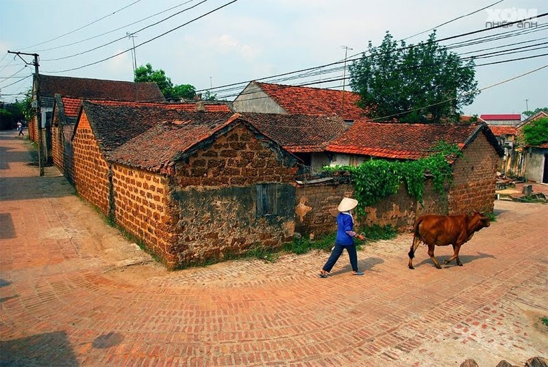 Làng cổ Đường Lâm. Ảnh: VOV