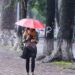 Gió mùa về…